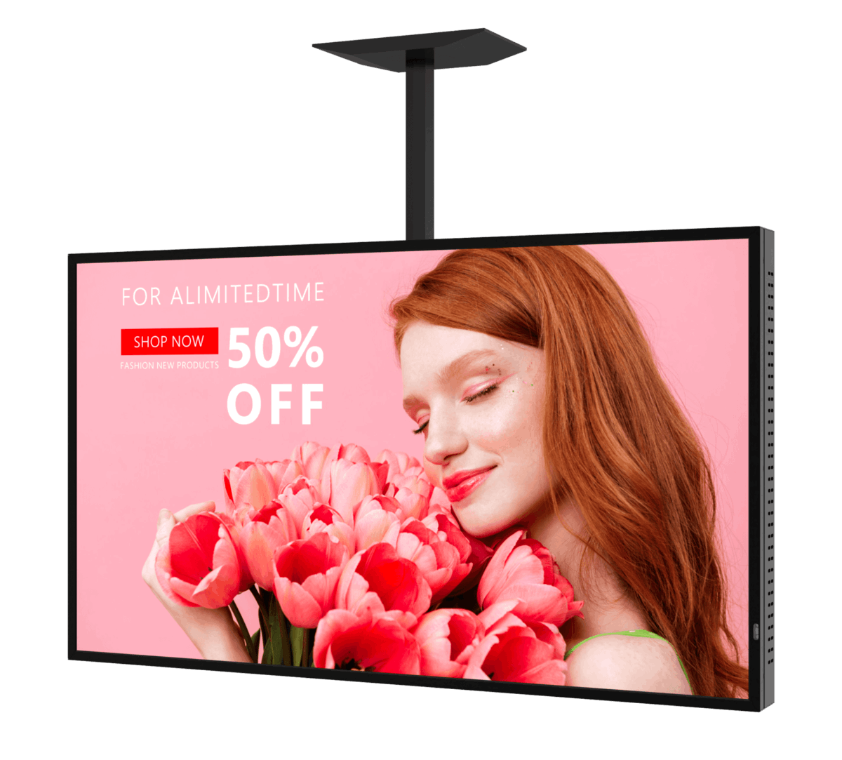 Digital Window Display